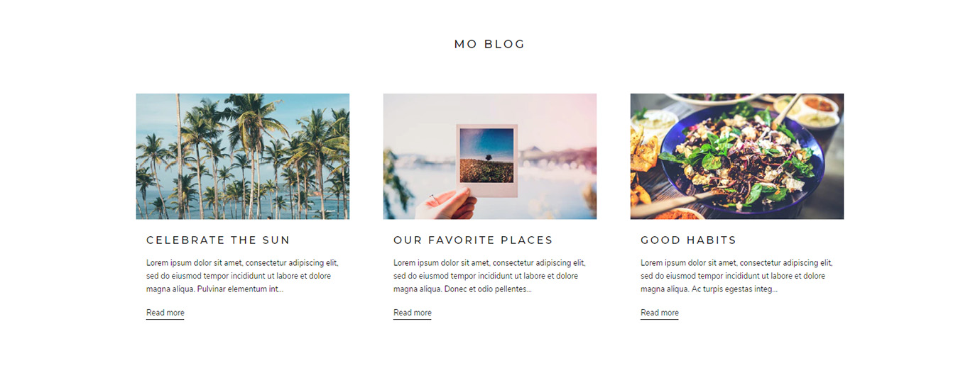 Sample blog features with imagery and SEO improving stories